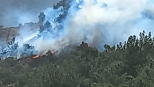 Yakaköy'de Çıkan ve Kontrol Altına Alınan Yangın Tekrar Başladı