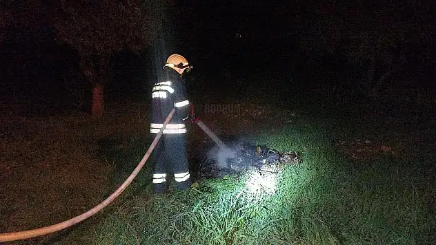 Yakılıp Unutulan Ateş Az Daha Zeytinliği Yakıyordu