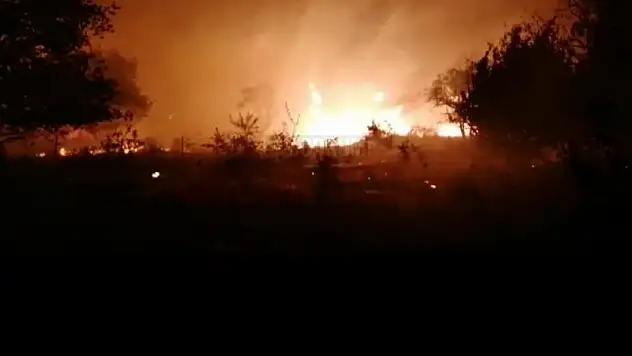 Yalıkavak Gökçebel'de Yangın Başladı