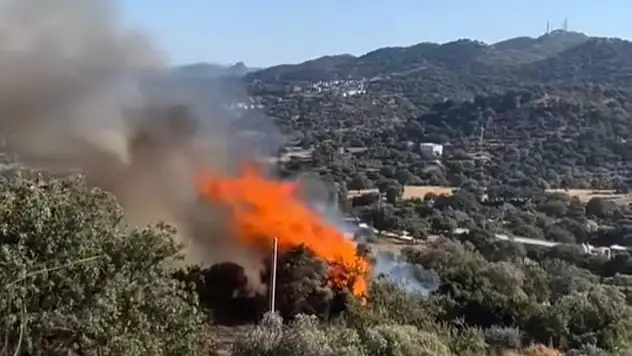 Yalıkavak Yolunda Yangın Paniği!