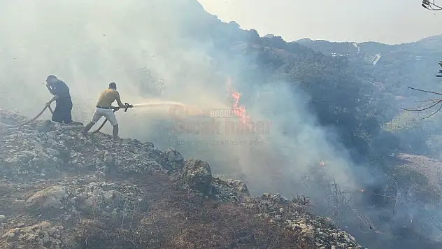 Yalıkavak'ta Çıkan Yangın Kontrol Altına Alınmaya Çalışılıyor