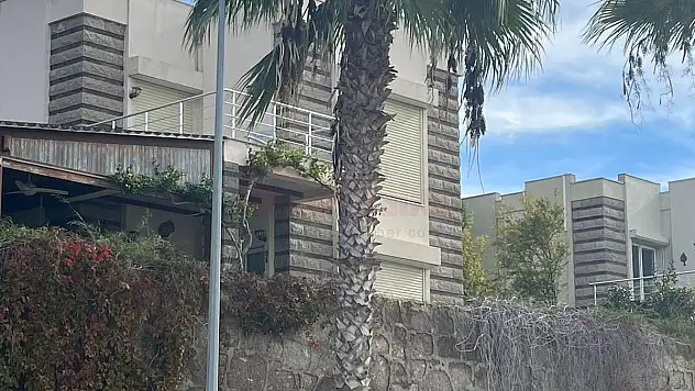 Yalıkavak'ta Mahalle Sakinlerini Şaşırtan Olay