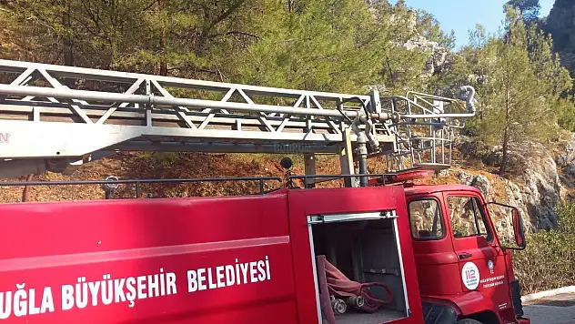 Yangın Ağaçlara Sıçramadan Söndürüldü