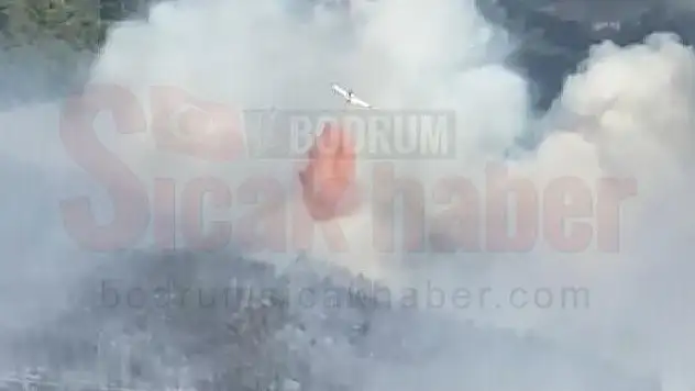 Yangın Havadan 11 Helikopter, 9 Uçak ile Kontrol Altına Alınmaya Çalışılıyor