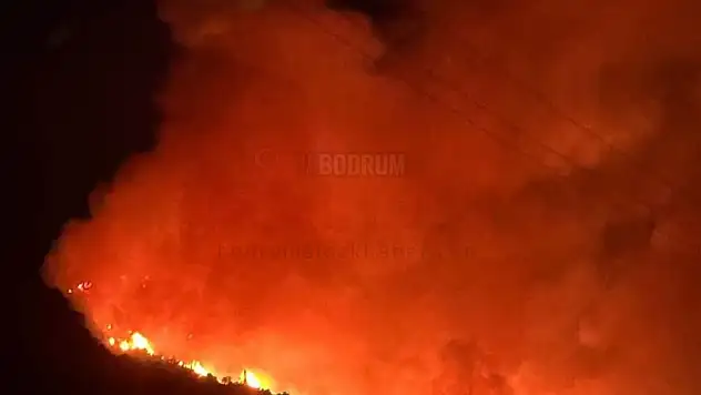 Yangın ile İlgili 1 Şüpheli Gözaltına Alındı