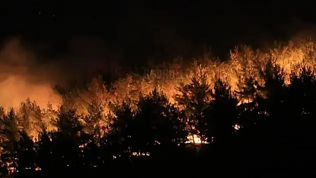 Yangın Kıyıkışlacık bölgesine ulaştı