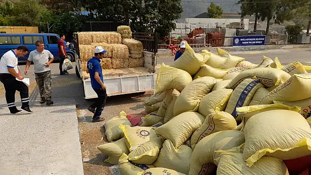 Yangın Mağduru Üreticilere 368 Ton Hayvan Besini Desteği