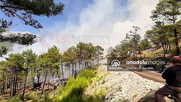 Yangın nedeniyle dört yerleşim yeri tedbiren tahliye edildi