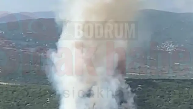 Yangına Çok Sayıda Ekip Müdahale Ediyor