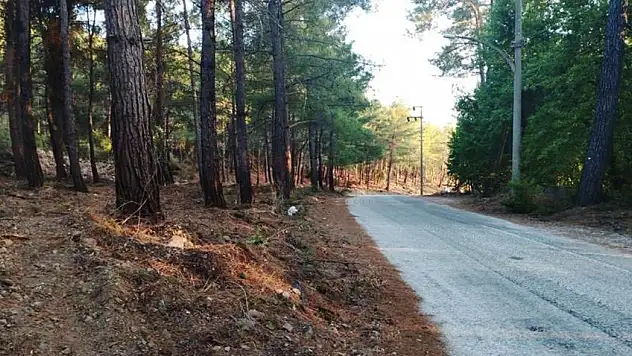 Yangına Hassas Alanlarda Örtü Temizliği