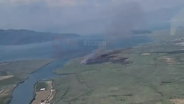 Yangına Havadan Müdahale Ediliyor