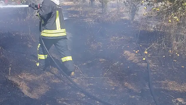 Yangında 25 limon ağacı zarar gördü