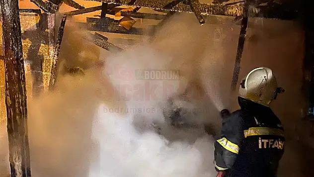 Yangında 3 Büyükbaş Hayvan Telef Oldu