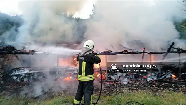 Yangında arı kovanları da yandı