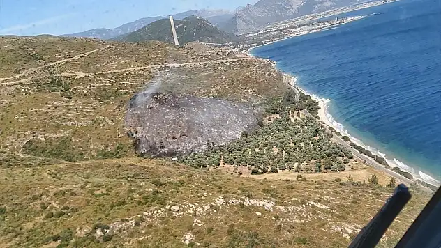 Yangında bir hektar orman alanı zarar gördü