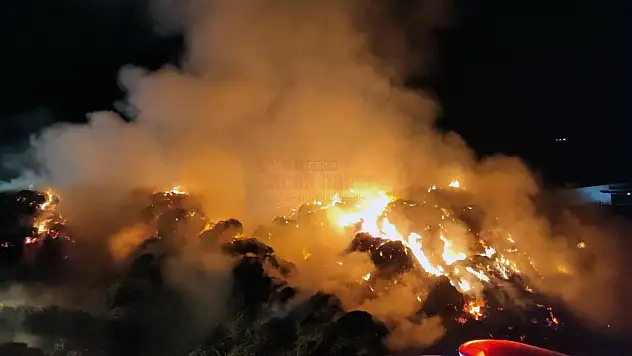 Yangında Tonlarca Yem Yandı