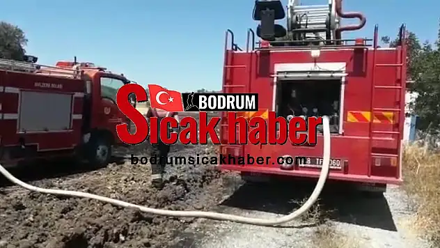 Yangının çıkmasıyla 9 dönüm buğday telef oldu