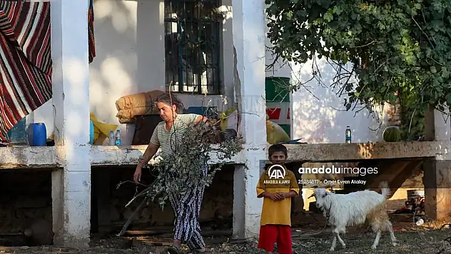 Yanmaktan kurtarılan Fesleğen Mahallesi'nde vatandaşlar evlerine dönmeye başladı