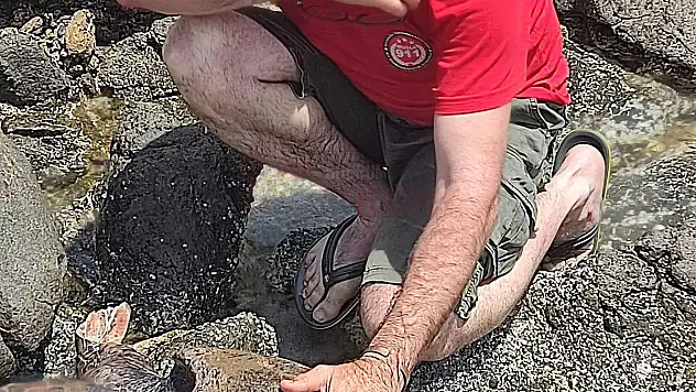 Yaralı Caretta Caretta'ya Çocuklar Mercan Adını Verdi