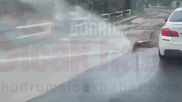 Yeni Asfalt Dökülen Yolda Su Hattı Patladı