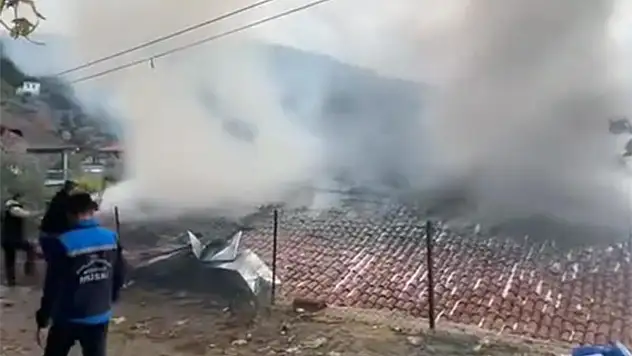 Yerkesik'te Ev Yangını