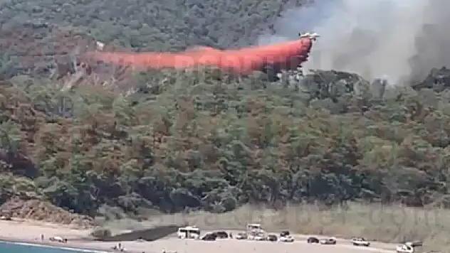 Yerleşim Yerleri Yakınında Orman Yangını Başladı