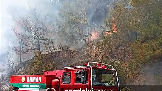Yerleşim yerlerine yakın alanda çıkan orman yangınına müdahale ediliyor