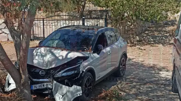 Yokuş Aşağı Giden Araç Ağaca Çarparak Durabildi