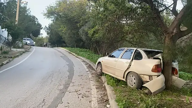 Yokuşta Kayarak Ağaca Çarptı 2 Yaralı