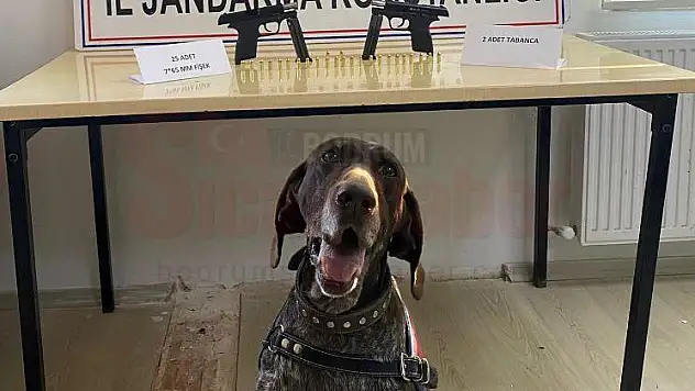 Yol Kontrolünde 3 Şüpheli Şahıs Gözaltına Alındı