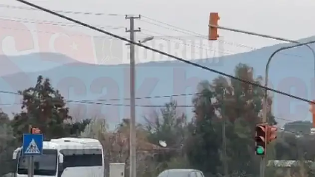 Yolun Ortasında Kilometrelerce Yürüdü