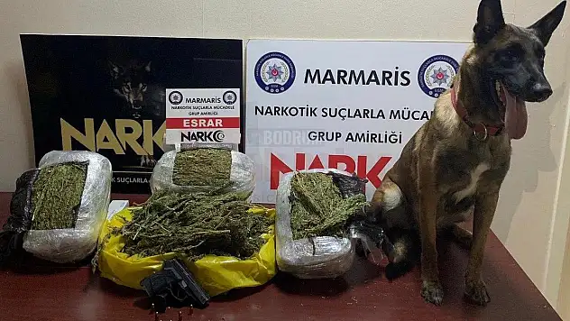 Yüklü Miktarda Esrar Maddesi Yakalandı