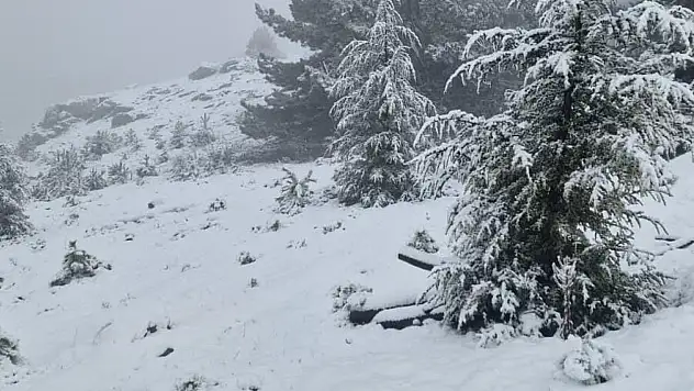 Yüksek rakımlı alanlarda kar etkisi kartpostallık manzaralar ortaya çıktı