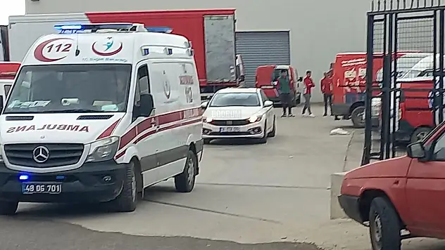 Yüksekten Düşen Kargo Elemanı  Yaralandı