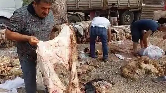 Yüzlerce Kurban Derisini Toprağa Gömdüler