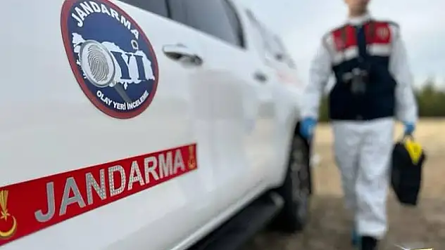 Zeytin ağacından düşen vatandaş hayatını kaybetti