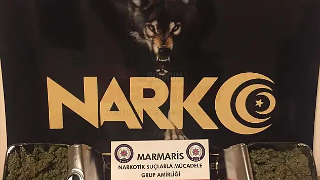 Zeytin yağı tenekelerinde gizlenmiş uyuşturucu yakalandı