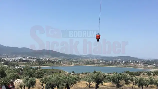 Zeytinlik Alanında Yangın Kontrol Altına Alındı