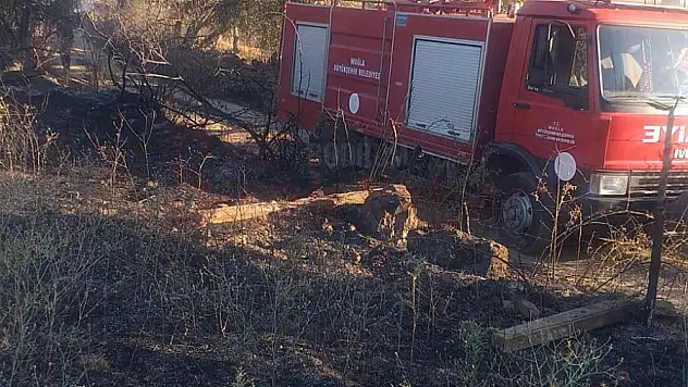 Zeytinlikte Çıkan Yangın Ekiplerce Söndürüldü