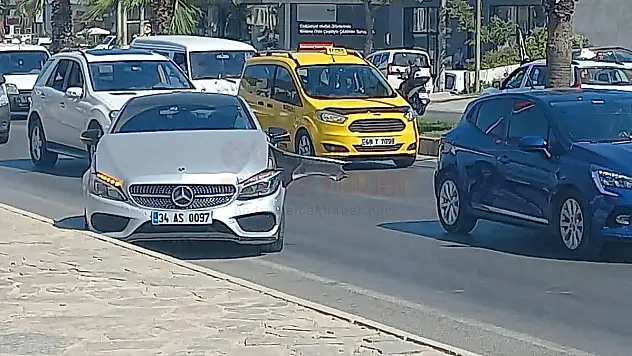 Zincirleme Kazada Yaralı Ambulansa Binmeyi Reddetti