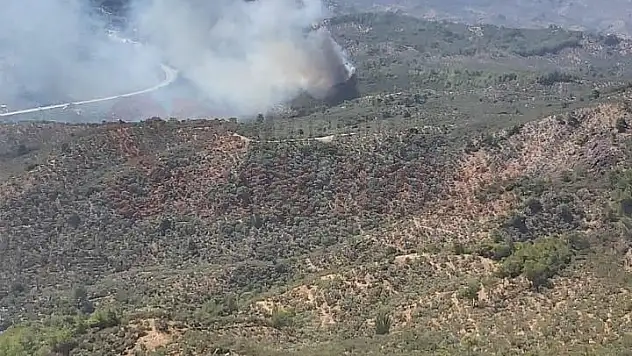 Ziraat Alanında Çıkan Yangın Kontrol Altına Alınmaya Çalışılıyor