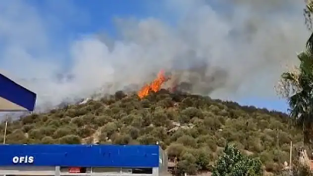 Zirai ve Makilik Alanda Çıkan Yangına Müdahale Sürüyor