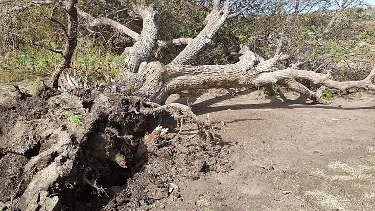 Bodrum’u kuvvetli fırtına vurdu