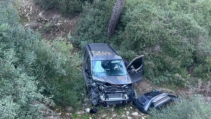 Direksiyon hâkimiyetini kaybeden sürücü ormanlık alana uçtu