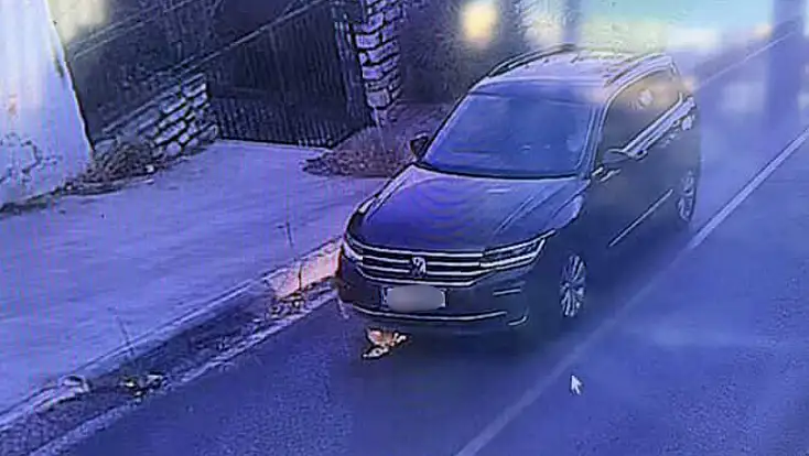 Kediyi ezip yoluna devam etti !