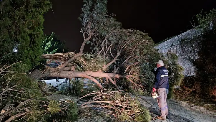 Lodos fırtınasında 80 noktaya müdahale