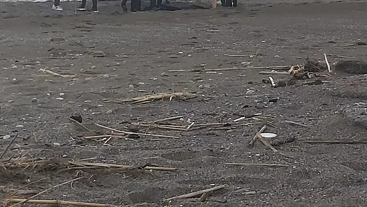 Parçalanmış erkek cesedi bulundu