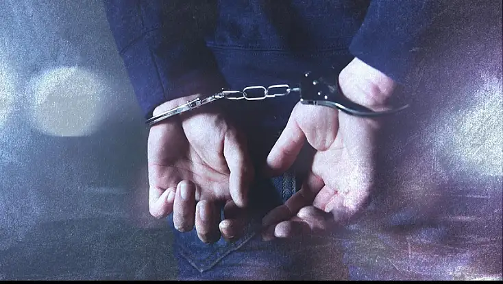 Polisi darp eden zanlı tutuklandı