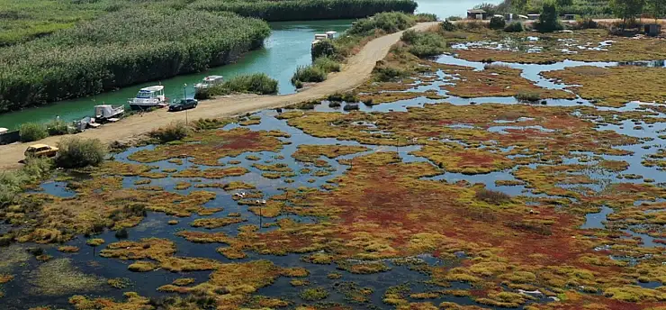 Gökçe Sulak alanı yeniden hayat buluyor