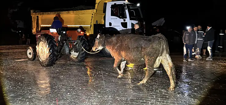 Sağanak taşkına dönüştü 25 ev tahliye edildi